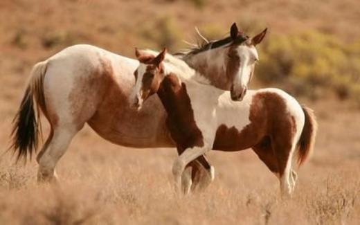 鼓励女人美容护肤句子