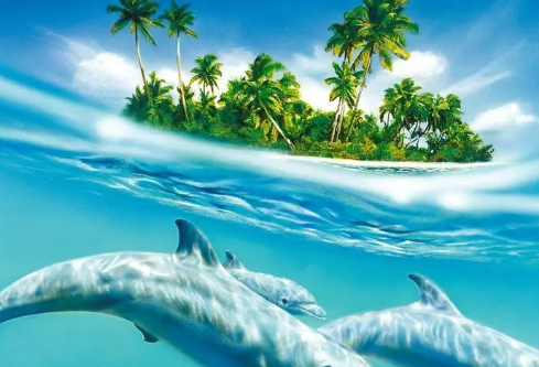 1688680621136376.png image.png