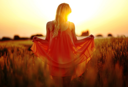 1688861239718329.png image.png