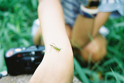 情人吃醋的句子说说心情 吃醋的句子说说心情(36句)