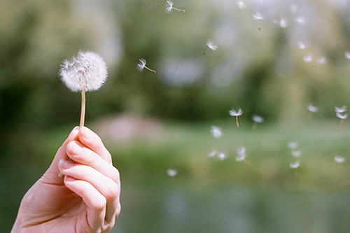 中国名著好词好句