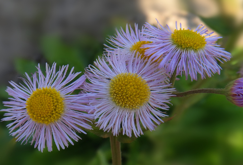 1689274536199280.png image.png