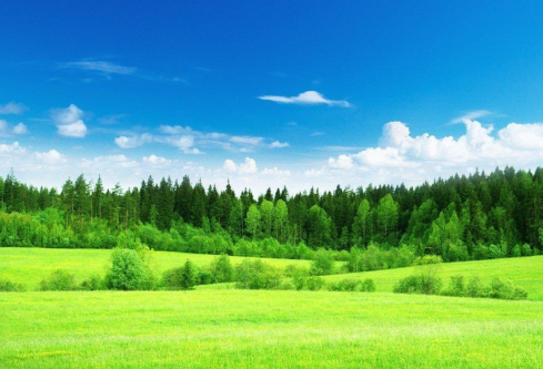 1689274868111452.png image.png