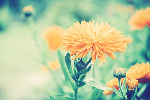 爱老婆的句子大全80句