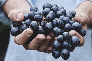 好听有内涵的微博名字