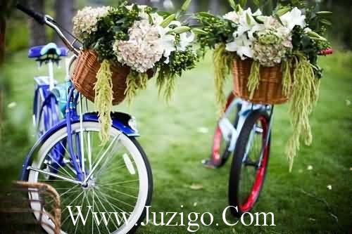 奋斗抒情的句子81句