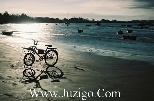 感谢信任的句子(精选27句)