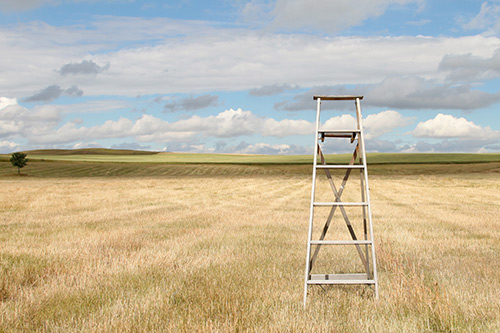 有关三毛经典语录大全 三毛经典语录大全(精选94句)