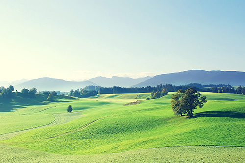 禅师经典语录86句