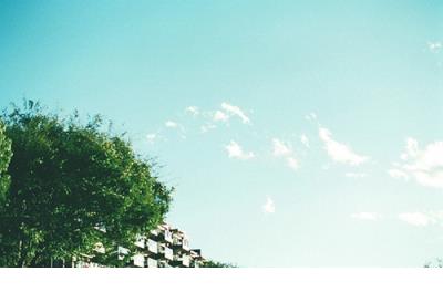 2012洪磊经典语录