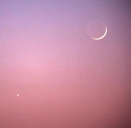 植物大战僵尸原版中文