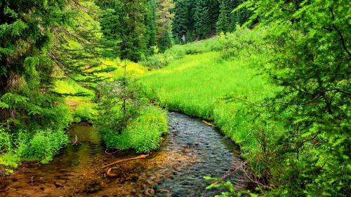 葛优经典搞笑语录