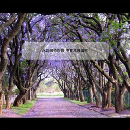 激励员工经典语录