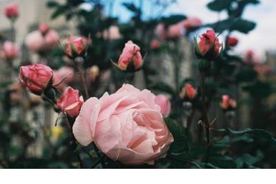 东周列国志经典句子