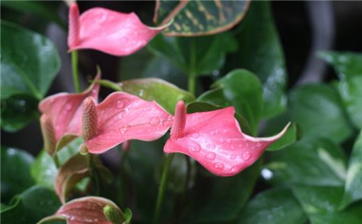 优秀教师教育感言经典语录