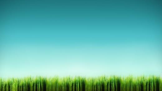 单身狗搞笑经典语录