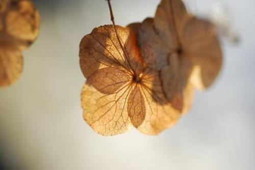 形容没有安全感的句子