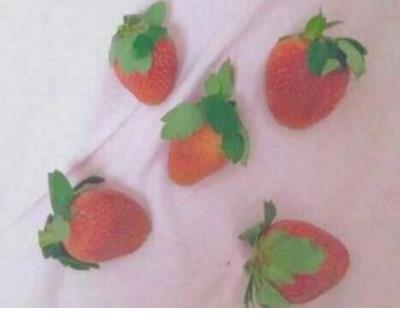 抖音上比较火的渣男语录