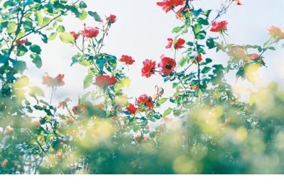 洪晃语录女人一生睡几个男