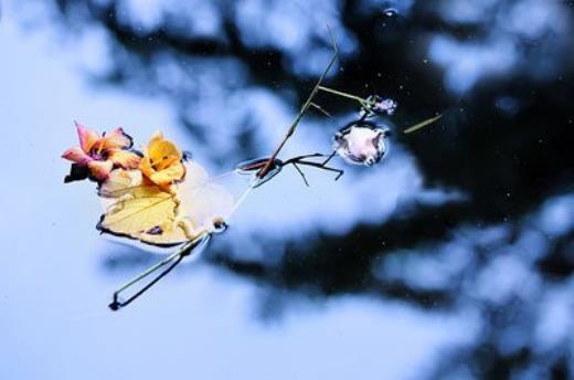 洪晃经典语录男人