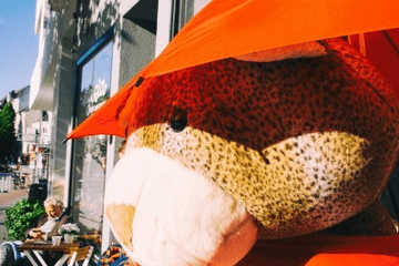 一听就很干净的名字