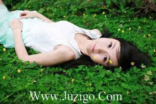 2023经典的植树节标语精选最经典的植树标语(精选65句)