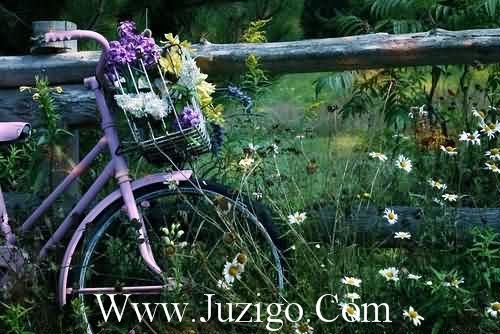 一地落花的唯美句子花瓣落满地很美的句子(精选20句)