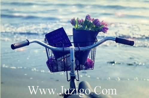 忍痛放手的句子心凉到极点的句子(精选20句)