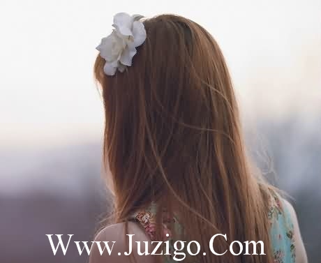 抖音古风句子抖音最火的古文句子(精选21句)