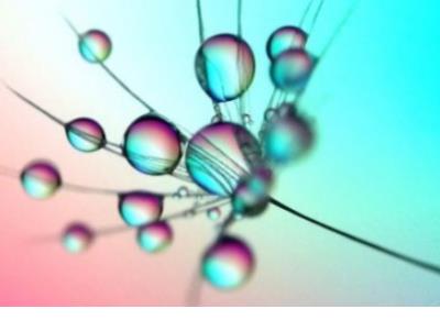 幼儿园家长建议20字