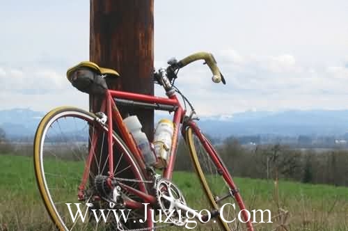 努力拼搏的句子 努力的句子经典语录(60句)