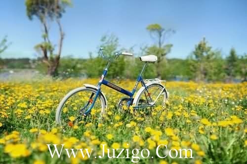 3月最后一天文案说说 运动会后可以发的说说(精选78句)