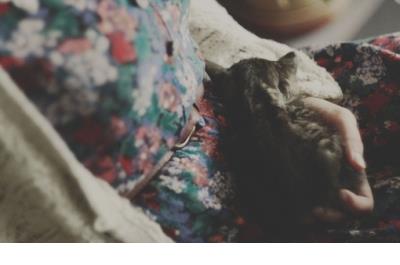 电视剧寒武纪里的唯美句子