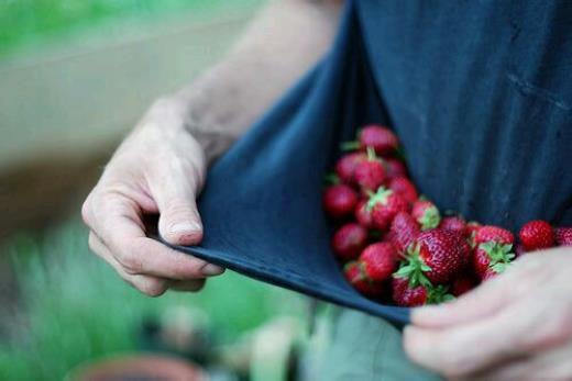 电视剧寒武纪里的唯美句子