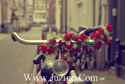 一句话经典晚安心语带图片