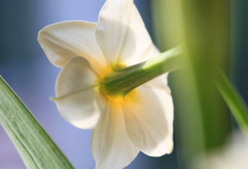 1685716578524041.png image.png