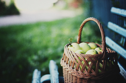 qq空间说说神级回复54句