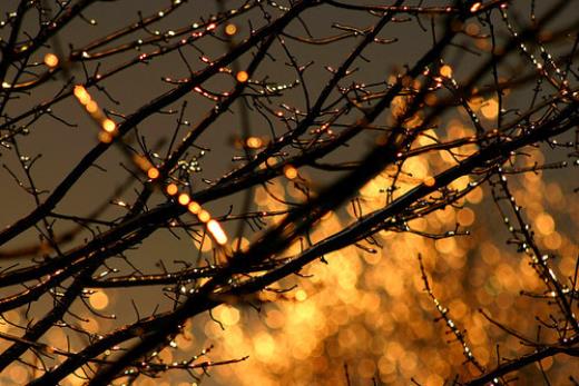 表现班级团结的句子