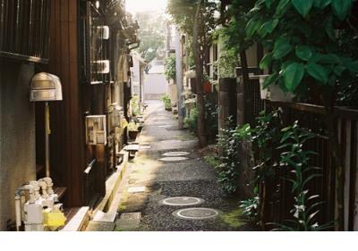 形容六月的句子