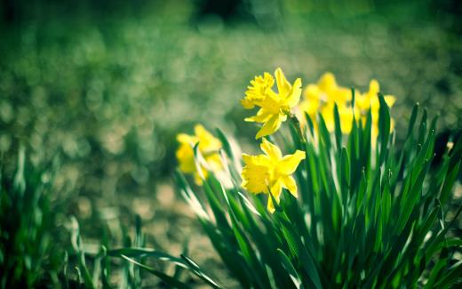 现实又很扎心的句子