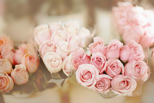 适合立春发的短句说说 今天立春发朋友圈说说(79句)