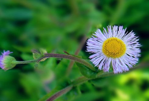 1686003545700213.png image.png