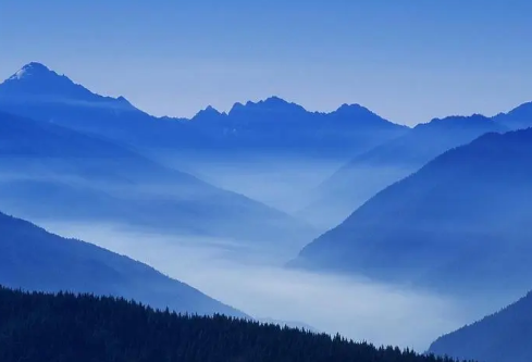 1686011886829480.png image.png