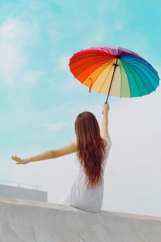 莲花最有禅意的句子