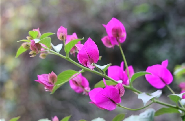 油价上涨的搞笑短句 油价上涨的搞笑短句