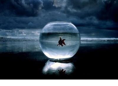 空间留言短句朋友8字