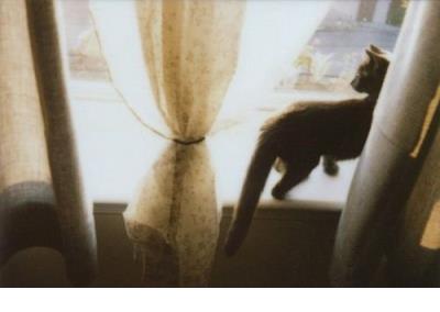 描述冬天景色的句子