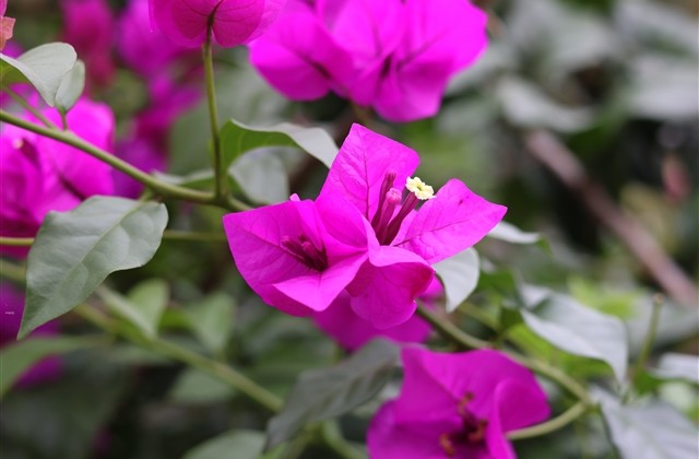 抒情的句子短句