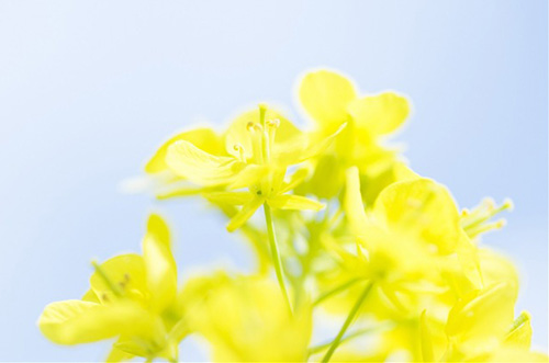 最经典的搞笑歇后语大全62句