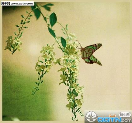 qq情侣个性签名一男一女